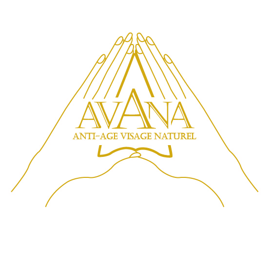 AVANA v3 Plan de travail 1 copie 2